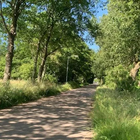 By Wadden Sea With Sunny Garden *