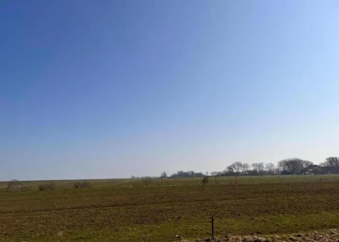 By Wadden Sea With Sunny Garden * Hippolytushoef