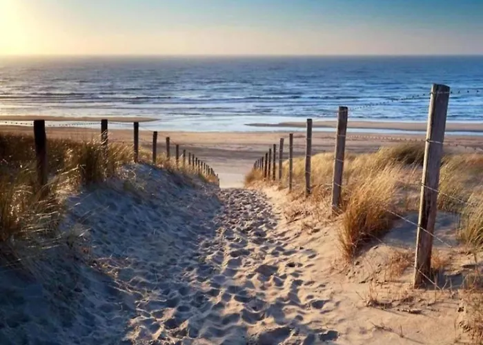 By Wadden Sea With Sunny Garden