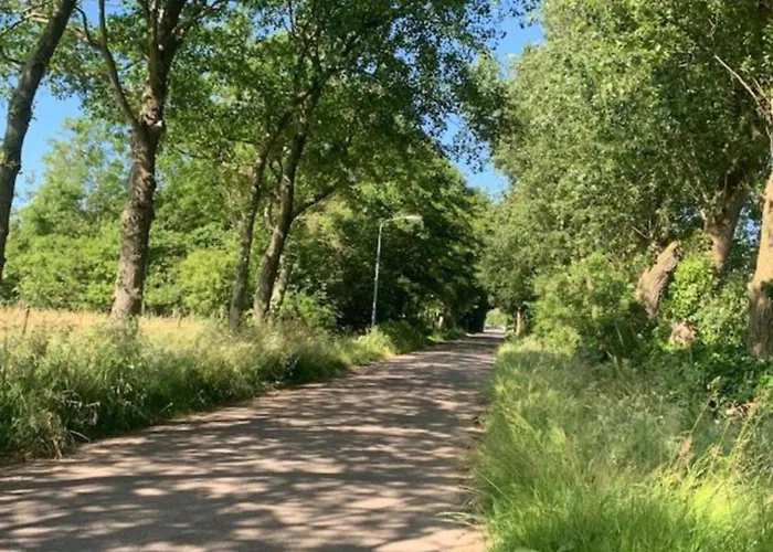 By Wadden Sea With Sunny Garden *