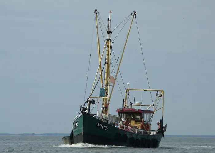 By Wadden Sea With Sunny Garden Hippolytushoef