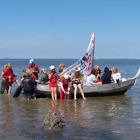 By Wadden Sea With Sunny Garden Alpehytte Hippolytushoef