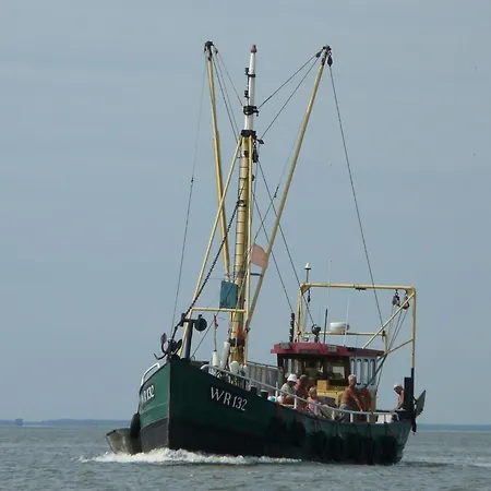 By Wadden Sea With Sunny Garden Hippolytushoef